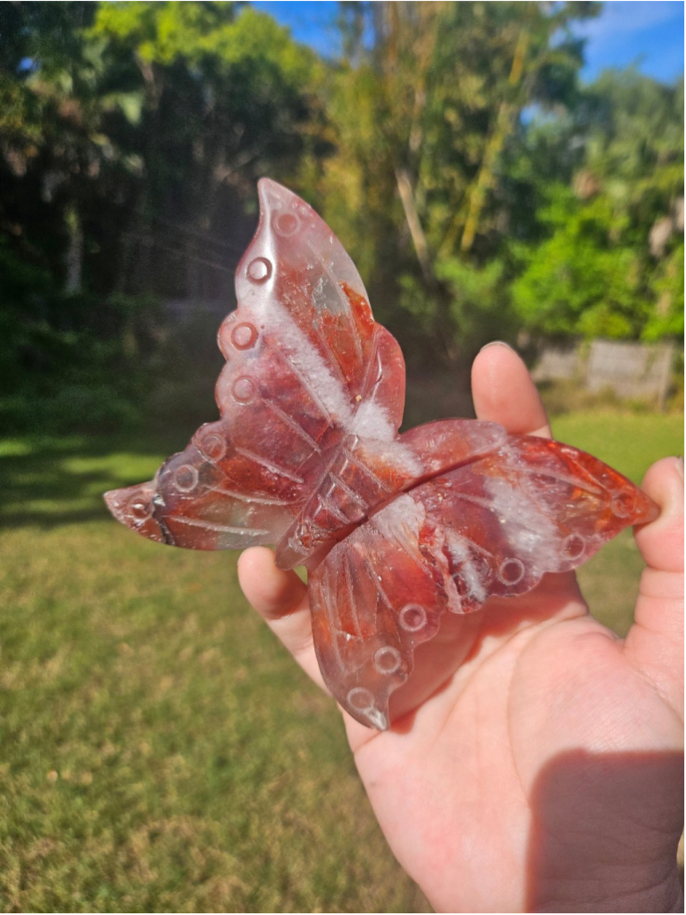 Fire quartz butterfly 5.3 in